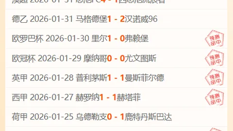 切尔西28轮对阵莱斯特城 1-0 胜利瞬间回顾