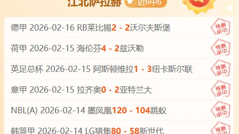 大乐透期号专家推荐：哈伊赫多保级关键战4胜3分析